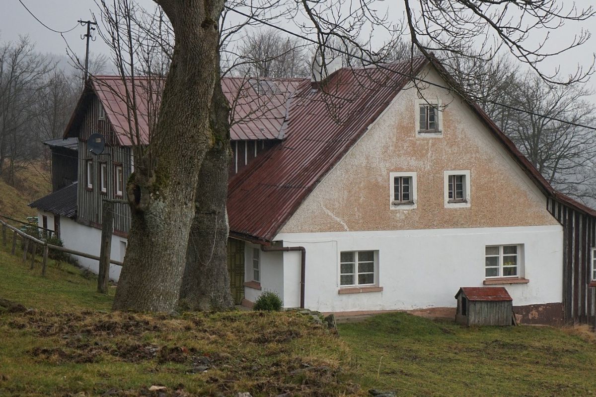 Styczeń 2025